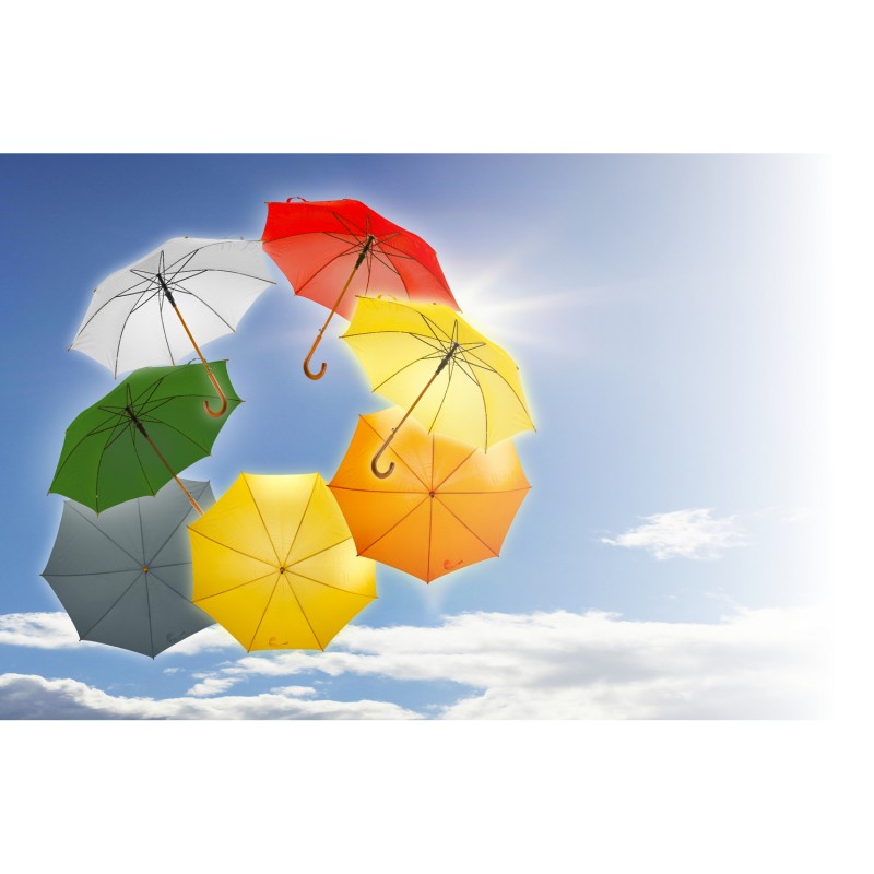 Автоматический зонт | hayden