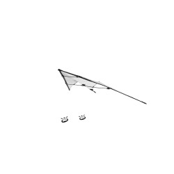 Двухлинейный воздушный змей из RPET с сумкой