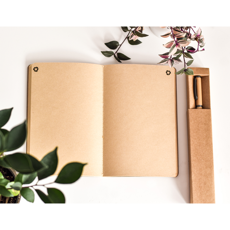 Ручка Machino из бамбука в коробке, бежевая