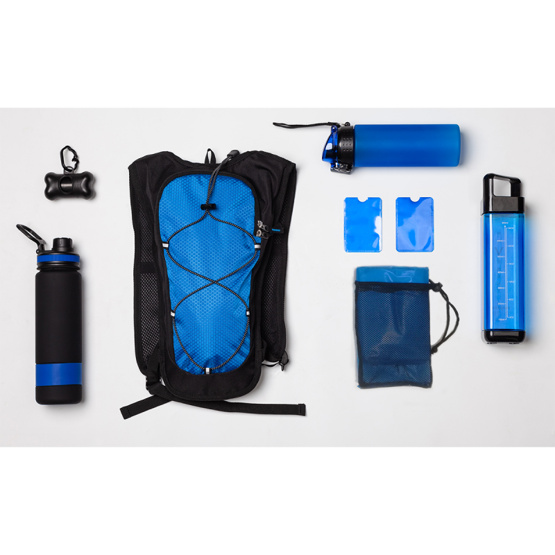 Спортивный рюкзак Palmer, синий